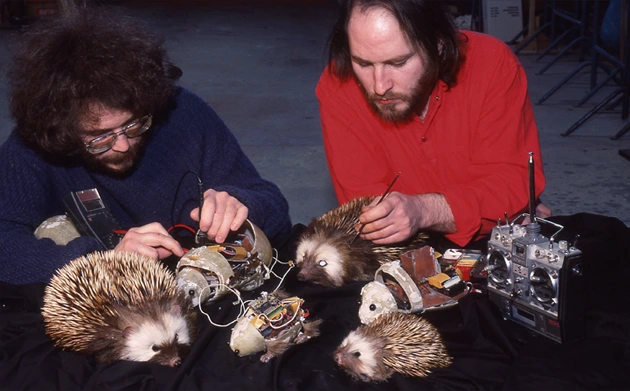 Jacques Gastineau - Animatronic hedgehog for tv ad